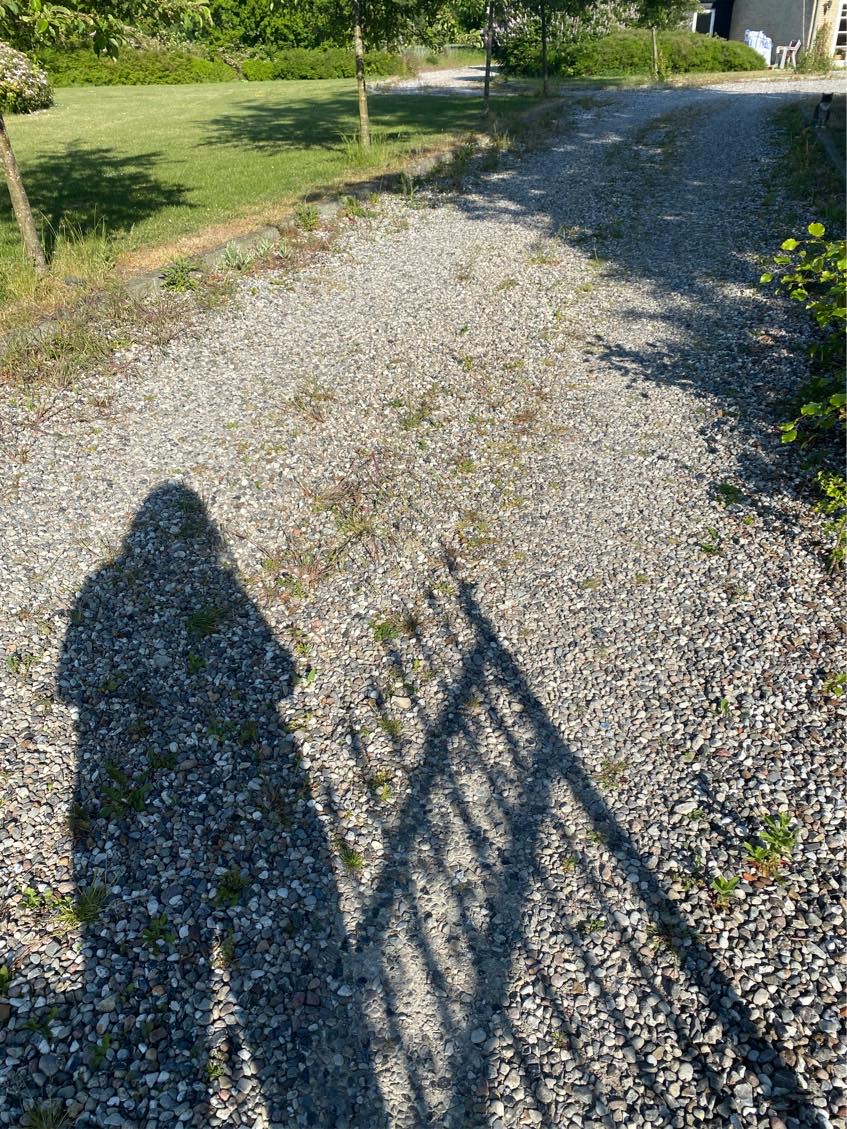 Ukrudt i stor gårdsplads - perlesten