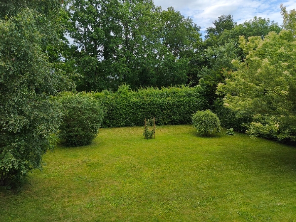 Hækkeklipning og bortskaffelse