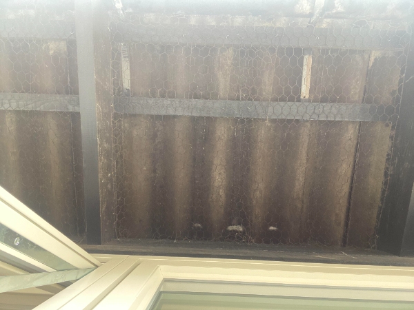 Montering af fuglenet/fuglegitter