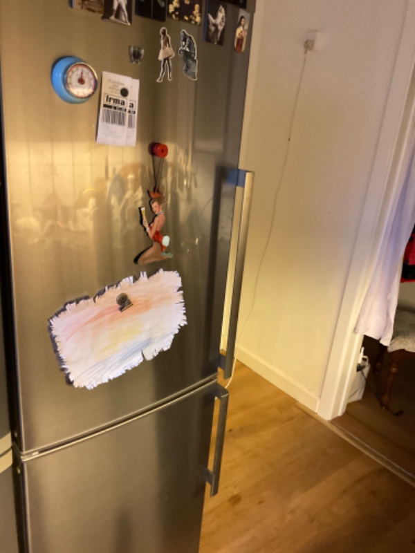 Sendt et kølefryseskab på genbrugspladsen