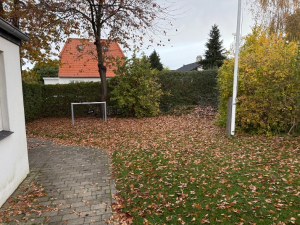Rydde og bortskaffe blade samt ordne ukrudt på fortovsstykke