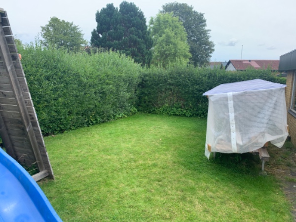 Klippet Liguster hæk som ca 90 meter hæk, og fjernet  ukrudt i indkørels. Tilbud på bortskaffelse