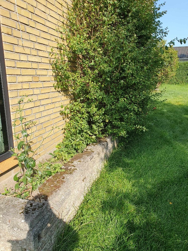 Fjernelse af 2 højbede