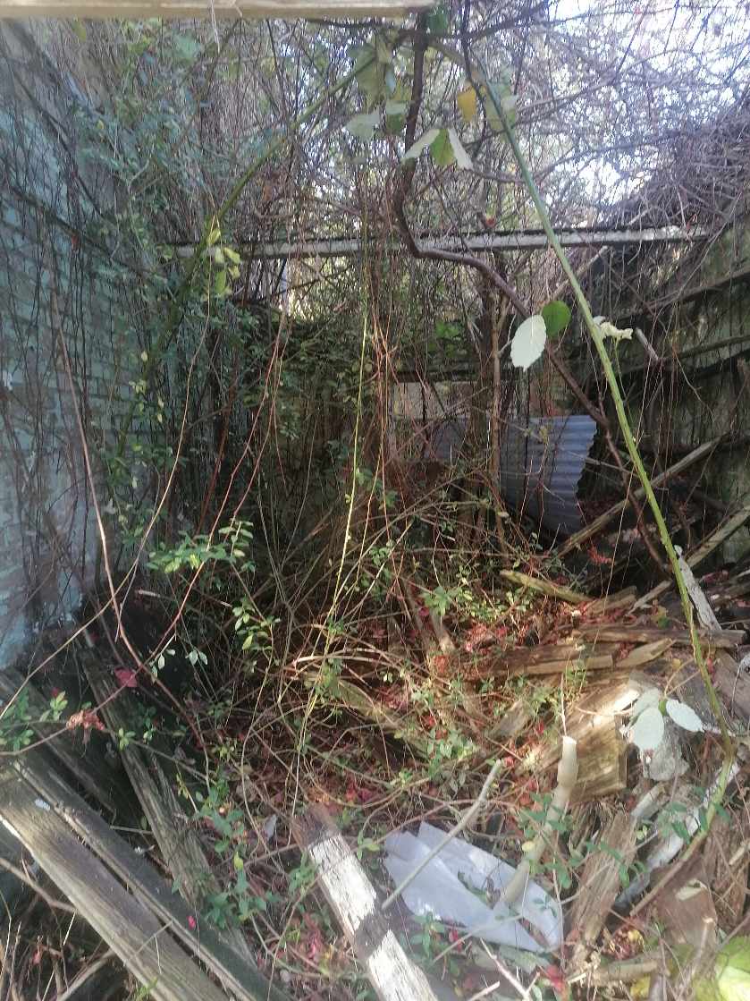 Ryddet en garage for rod..