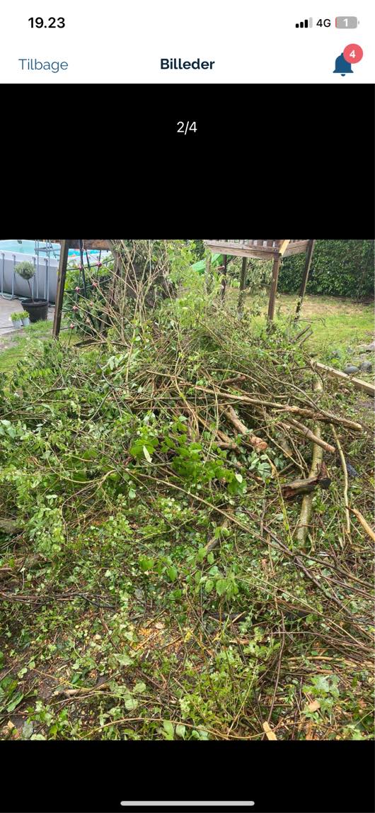 Bortførsel af haveaffald træer og store grene