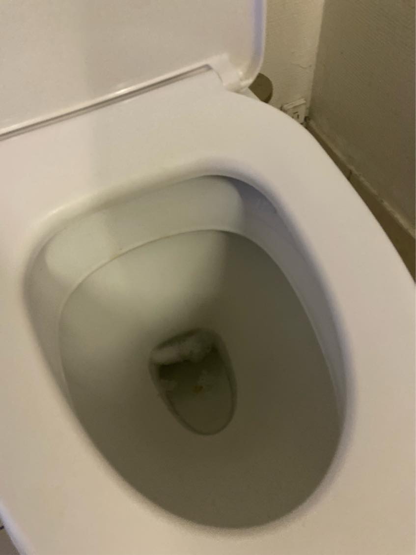 Mit toilet læber