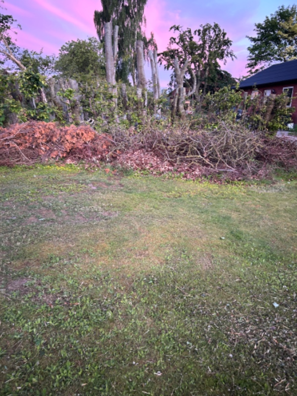 Bortskaffelse af grene og kompost