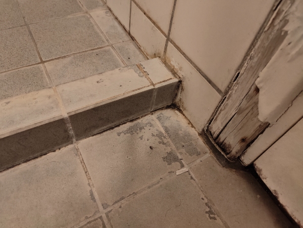 Skimmelsvamp loft fuger og klinker badeværelse og ovnrengøring