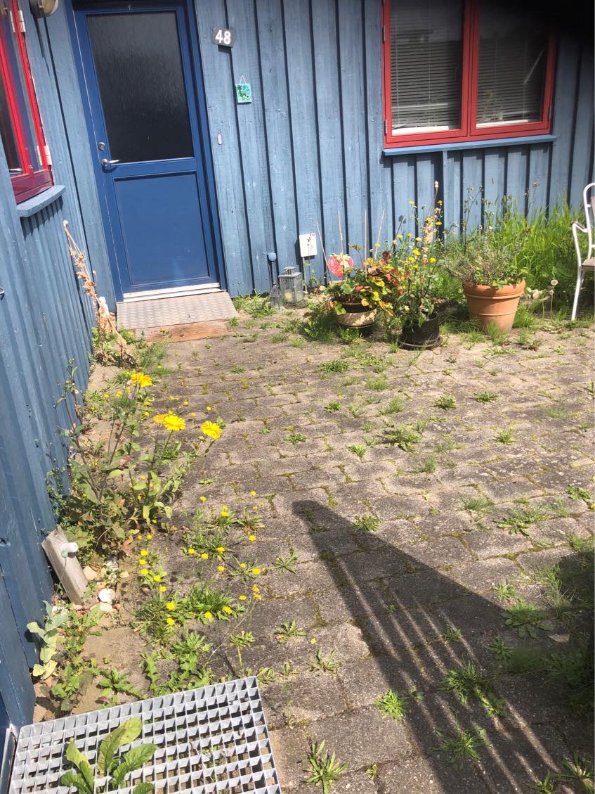 HJÆLP! Ukrudtet har fået magten i mine 2 små haver!