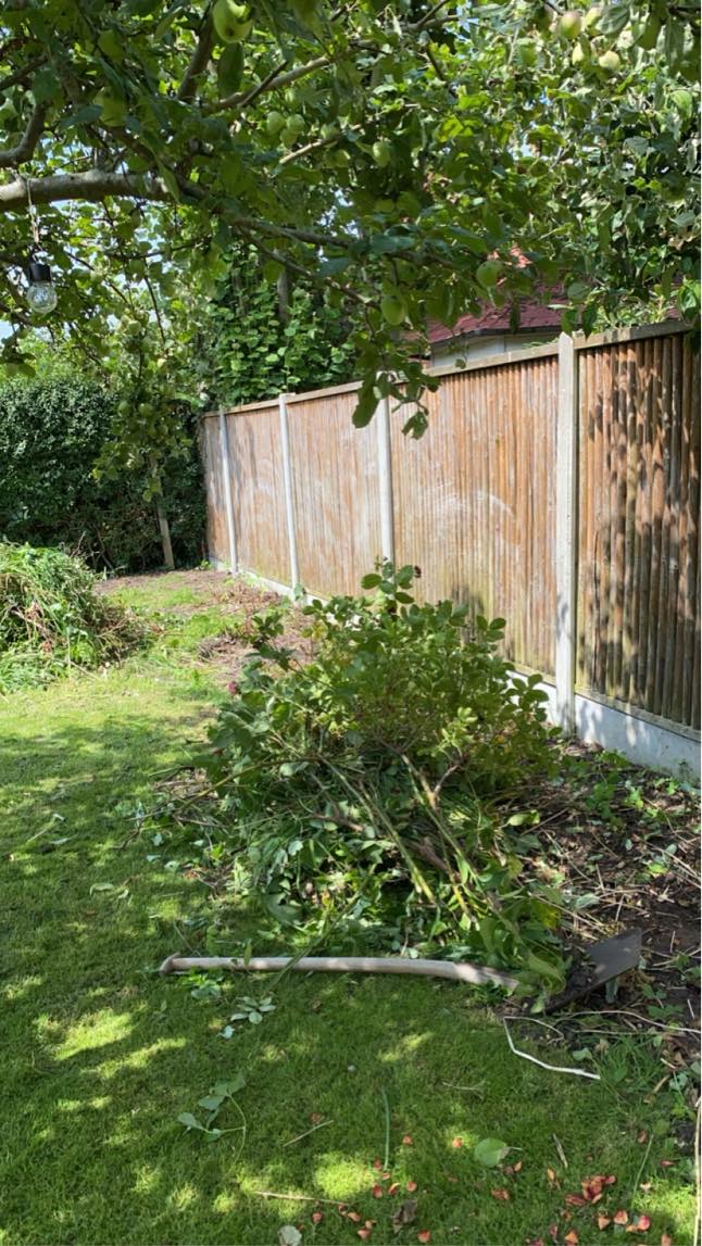 Bortkørsel af affald