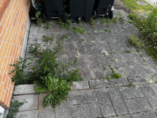 Fjernelse af ukrudt i grusbed