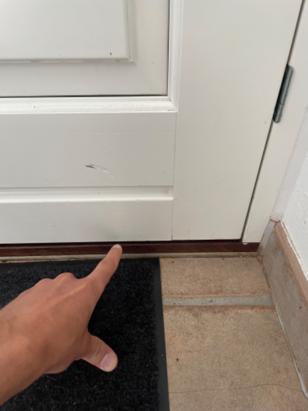 Montering af kattelem i hoveddør + småopgaver