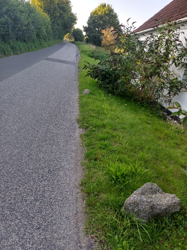 Ukrudt og græsslåning