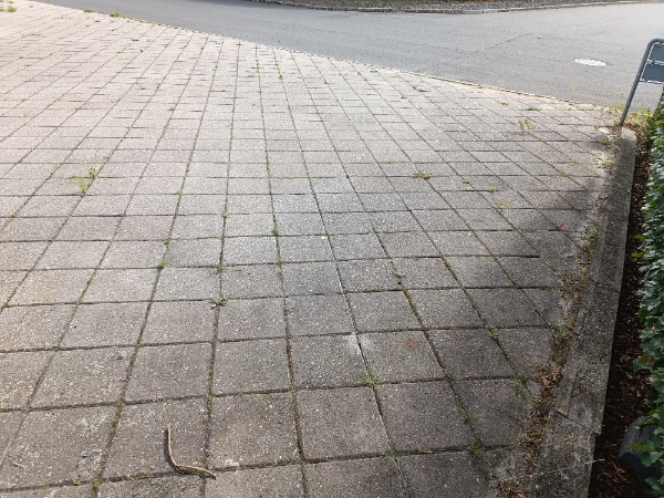 Fjerne ukrudt i stenbed, fliser og vejkant