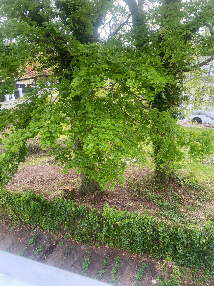 Intet arbejde ønskes