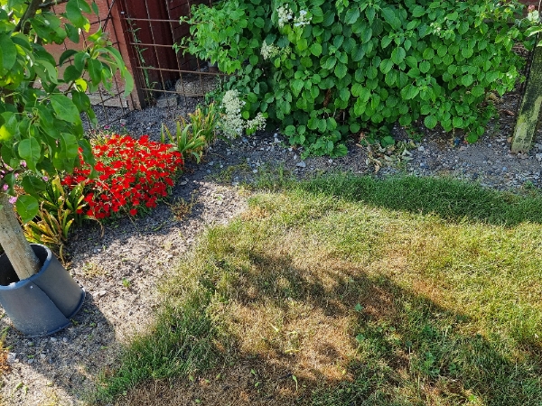 Hjælpe til ukrudt på terrassen og have