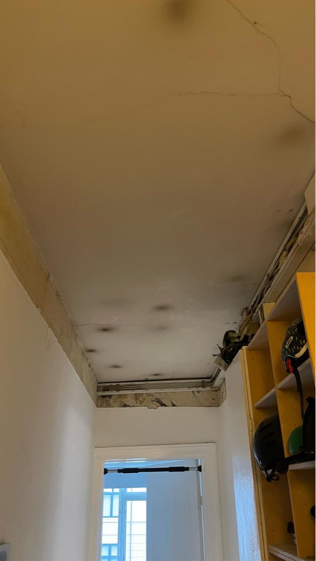 Loft repareres, spartles males.