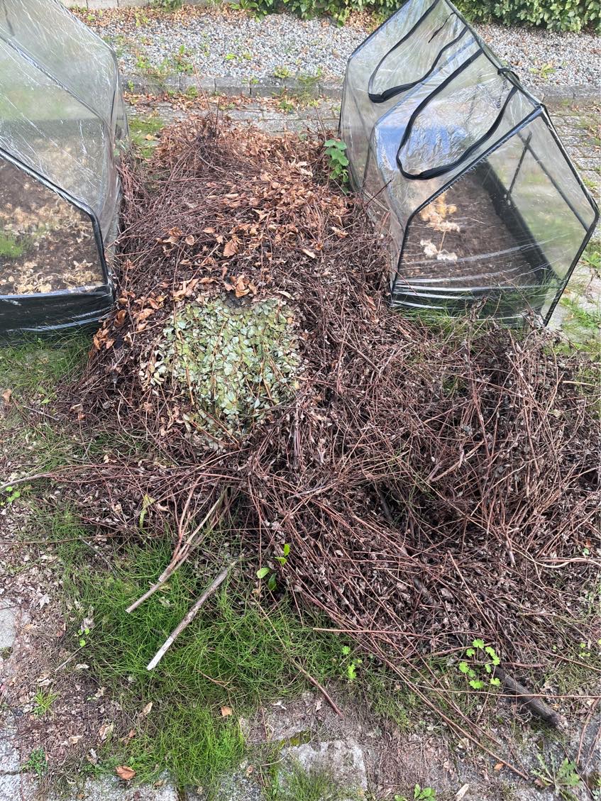 Bortkørsel af affald