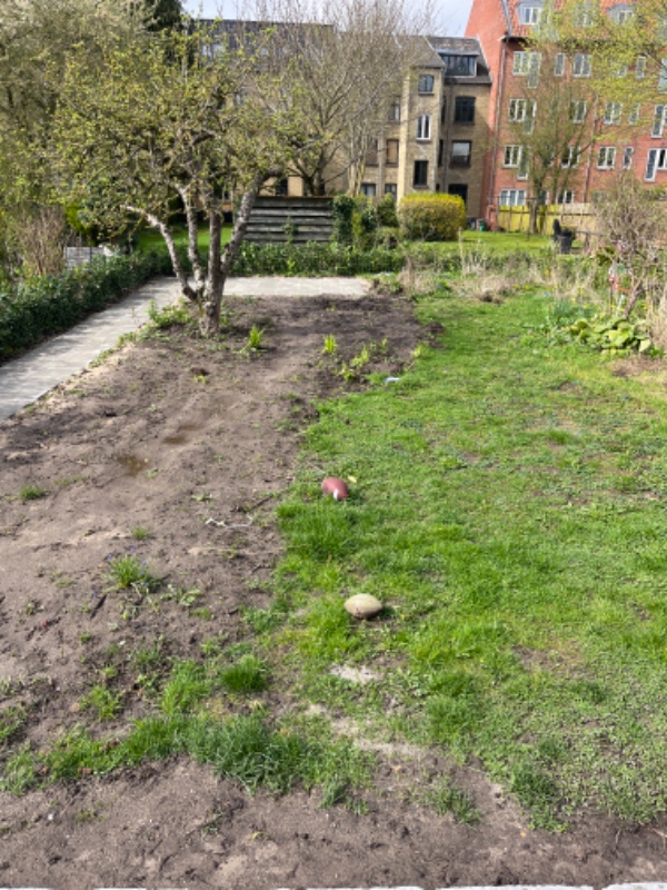 Græsplæneklipning ønskes