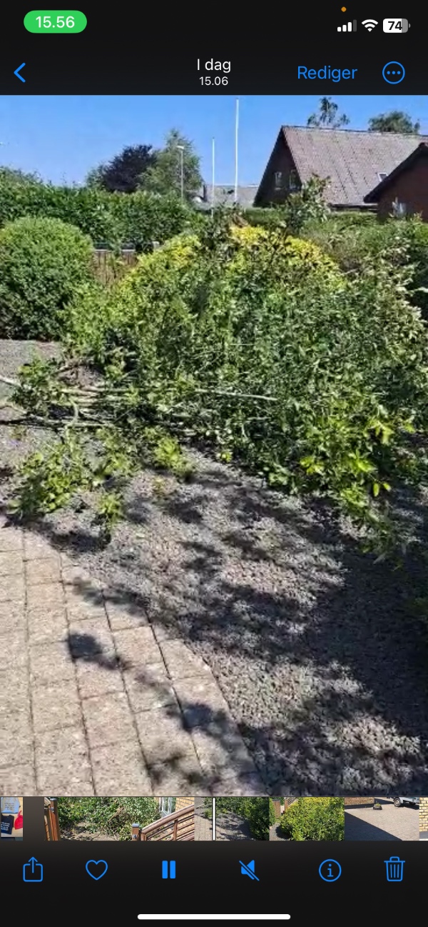 Fyldning af trailer og kørsel til genbrugsplads