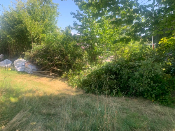 Bortkørsel af haveaffald