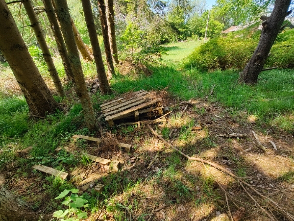 Bortkørsel af affaldstræ