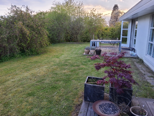 fræsning og nivelering af græsplane