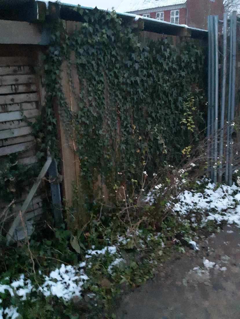Udskiftning af en bræddevæg 720*180cm. Det skal være 10 cm brede trykimprægneret brædder