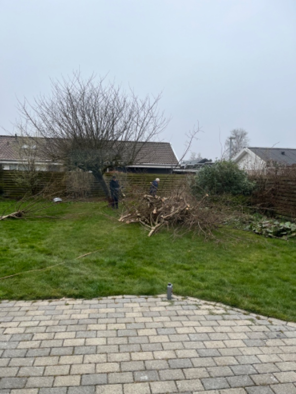 Nivellering og græsplæne-renovering