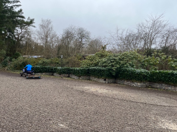 Fjernelse af Egeføj