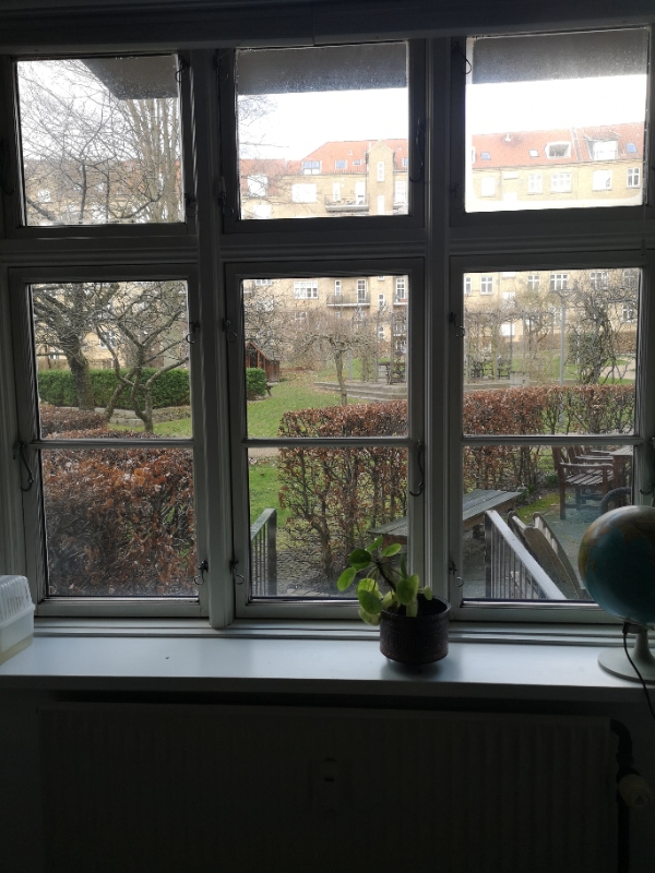 Vinduespudsning med stang