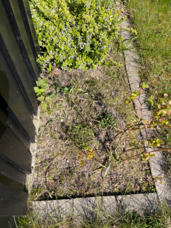 Gjort alle bede rene for ukrudt