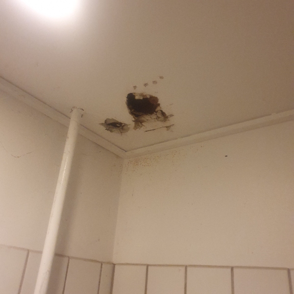 Lukning af huller i 2 badeværelser