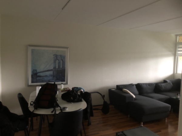 Fjernet gammelt tapet, fuldspartle, filt, malet 2x . Der er i alt 40kvm vægge i stuen