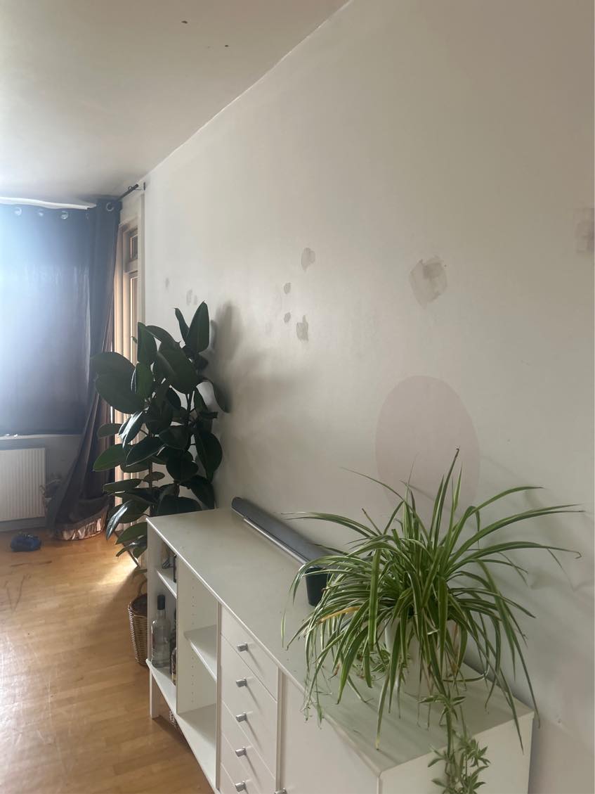 Hjælp til at male en stue