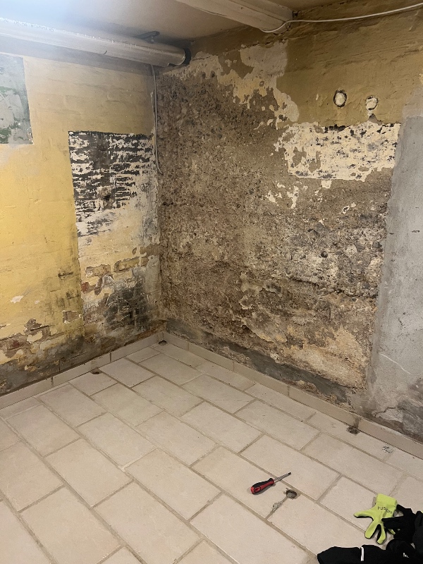 Pudsning indendørs væg kælder