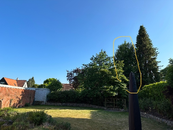 Beskæring af 3 træer fra 5 meters højde ned til 1 meter og 80 cm, så kun stammerne står tilbage