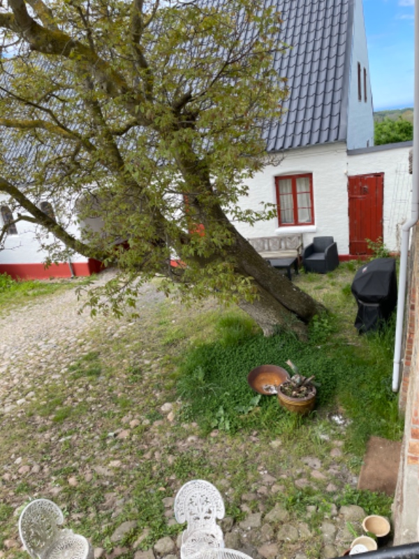 Fjernelse af ukrudt manuelt