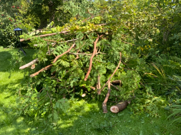 Afhentning af grenaffald