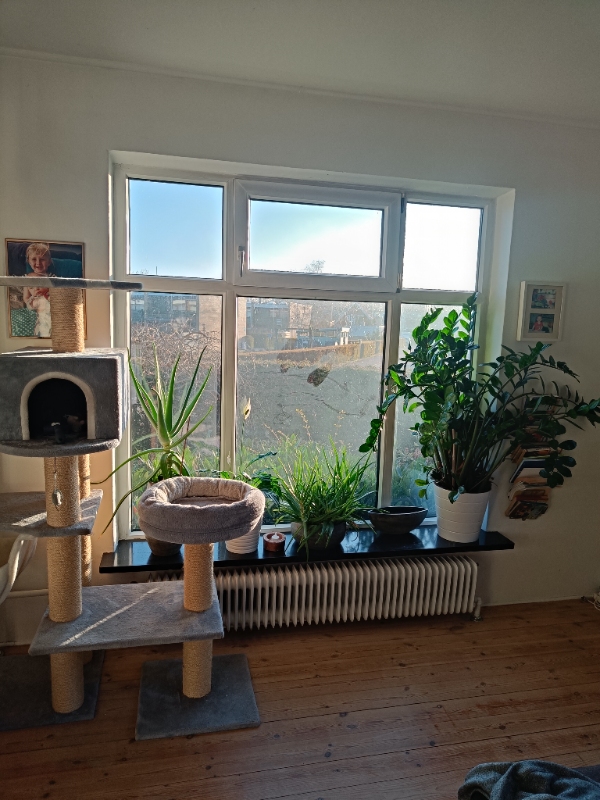 Vinduespudsning inde og ude