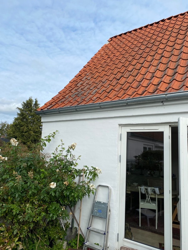 En af mine tagsten er faldet ned og jeg vil gerne have sat den op igen.