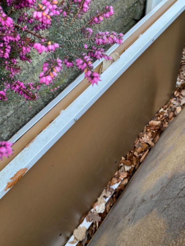 Afhentning og bortskaffelse af affald