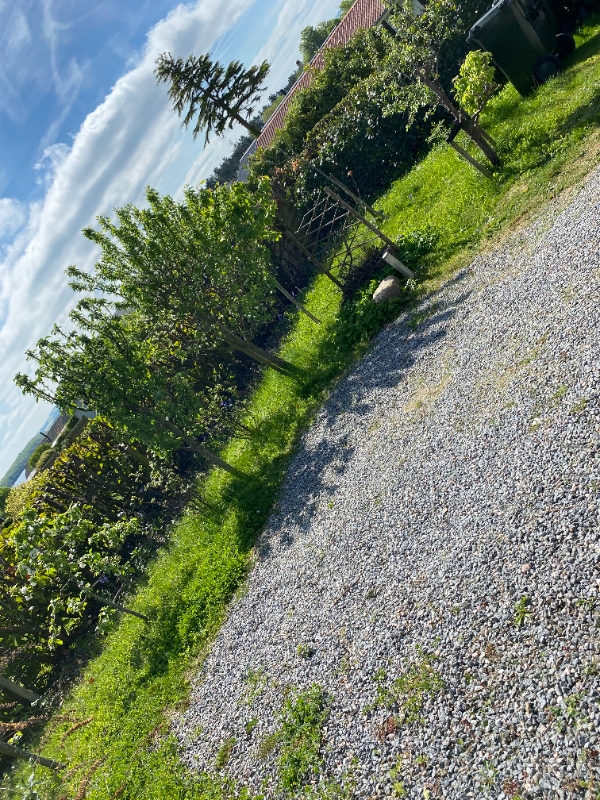 Havearbejde ved sommerhus