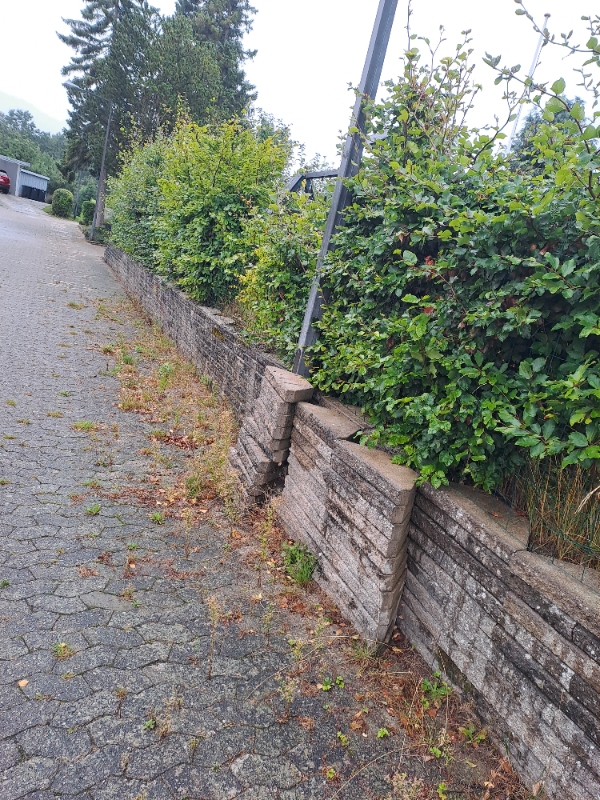 Ukrudt fjernelse og hæk klipning