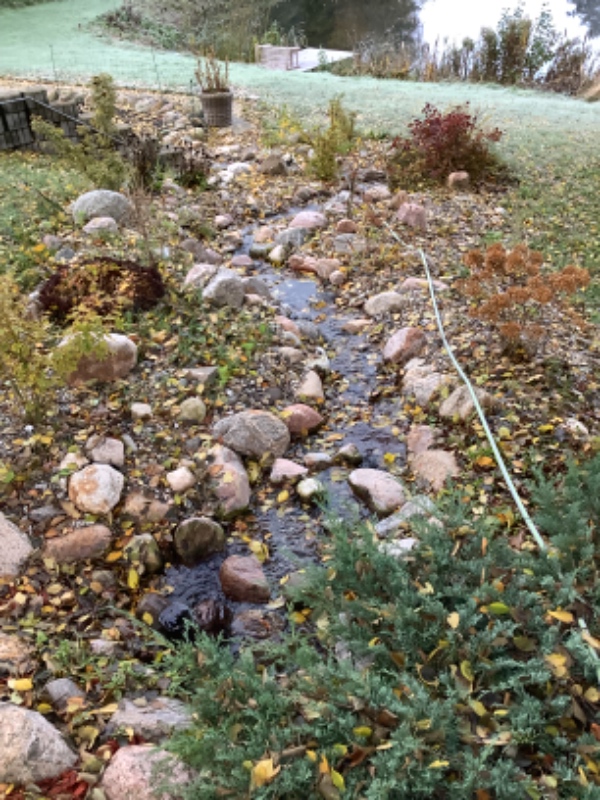 Rense vandløb og kanter for grene, blade mm. Køre planter ind i garagen.