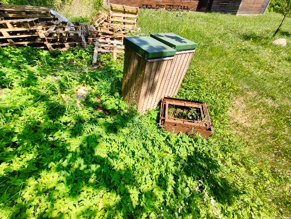 Bortkørsel af affaldstræ