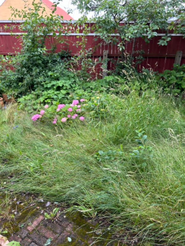 Klipning af højt græs i have