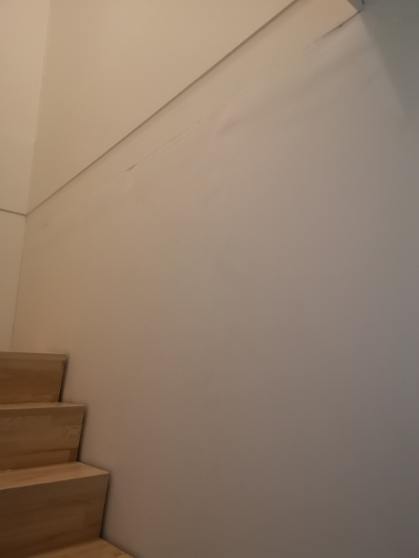 Klippe hæk (ikk,loftlampe op, spartle ujævn væg (lille bid 1x2 meter cirka), sætte skyggeliste op