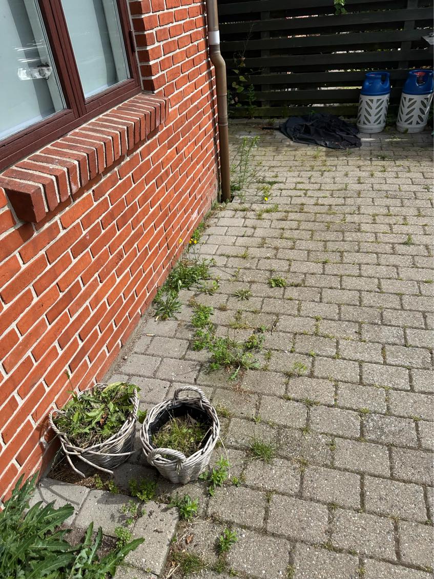 Fjernelse af ukrudt langs husmur osv samt mellem fliserne