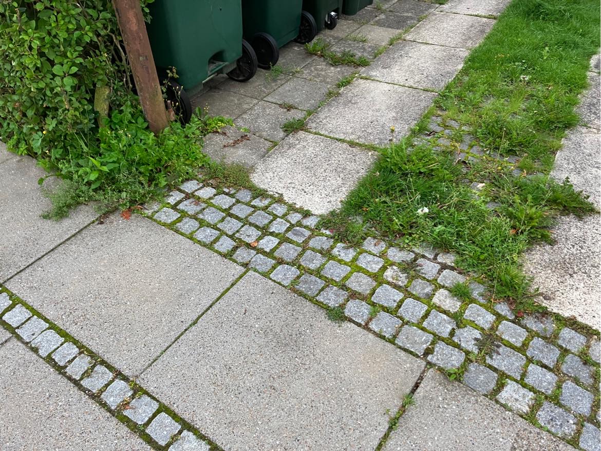 Fjerne ukrudt i hæk og indkørsel